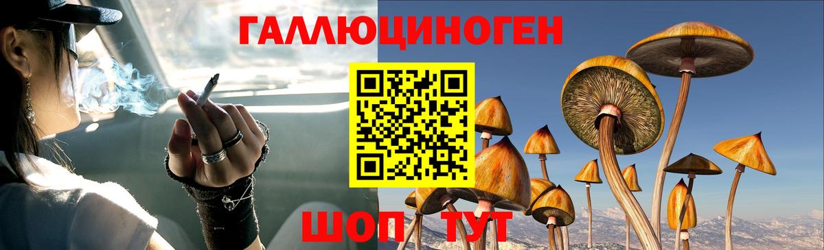 Псилоцибиновые грибы прущие грибы Свободный