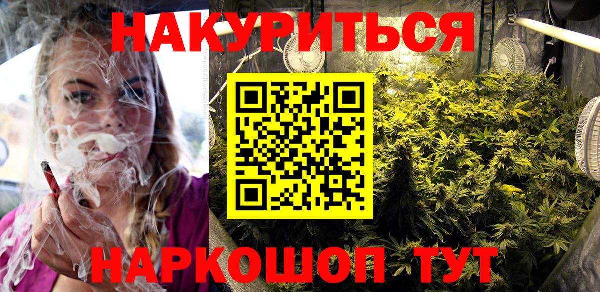 Свободный  Бошки марихуана ГИДРОПОН  Бошки Шишки Bruce Banner  Вход с VPN  Каннабис сатива 
